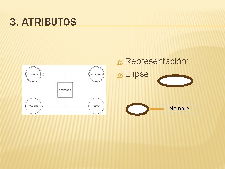 3. ATRIBUTOS Representación: Elipse Nombre 