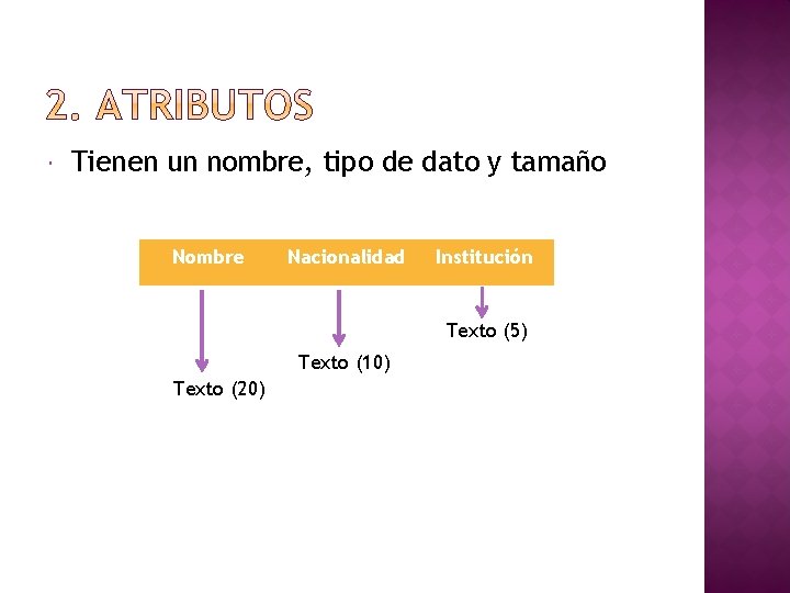  Tienen un nombre, tipo de dato y tamaño Nombre Nacionalidad Institución Texto (5)