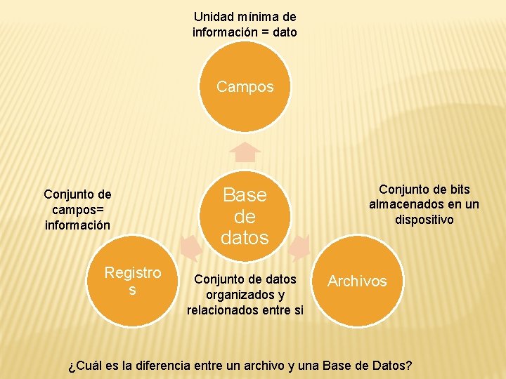 Unidad mínima de información = dato Campos Conjunto de campos= información Registro s Base