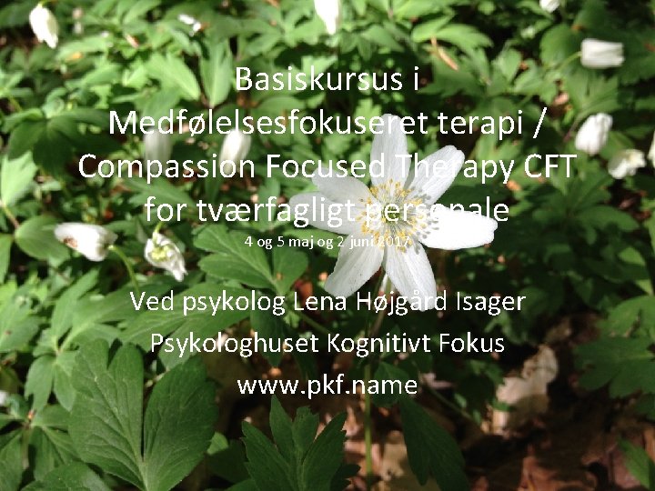 Basiskursus i Medfølelsesfokuseret terapi / Compassion Focused Therapy CFT for tværfagligt personale 4 og