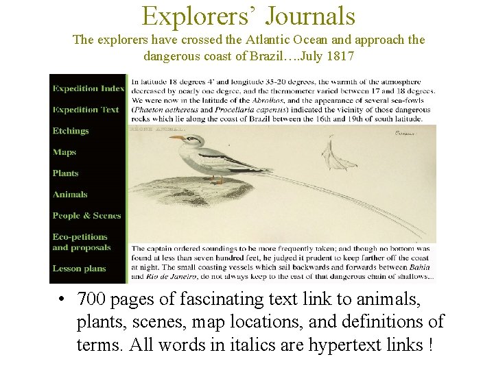 Explorers Journal Example Ecology education South American history 10 000 downloadable