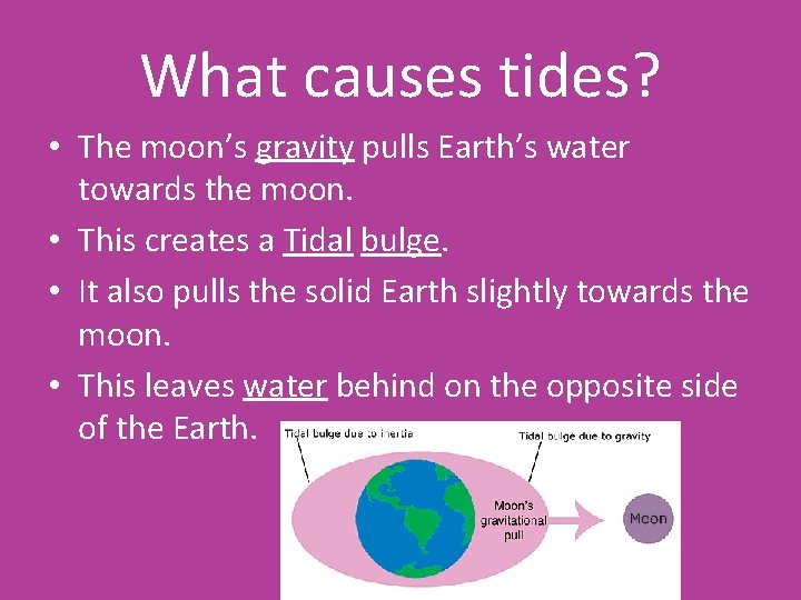 What causes tides? • The moon’s gravity pulls Earth’s water towards the moon. •