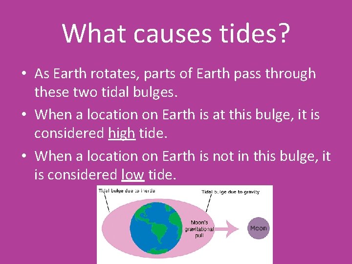 What causes tides? • As Earth rotates, parts of Earth pass through these two