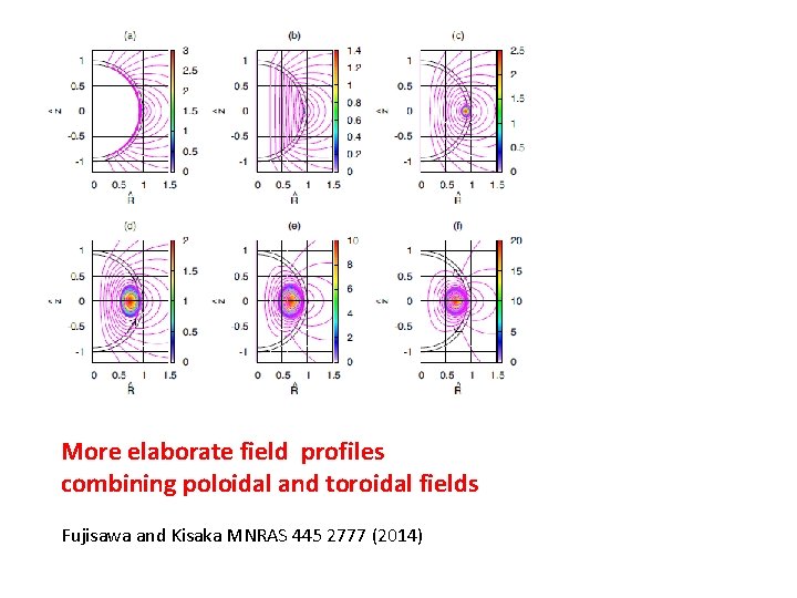 More elaborate field profiles combining poloidal and toroidal fields Fujisawa and Kisaka MNRAS 445