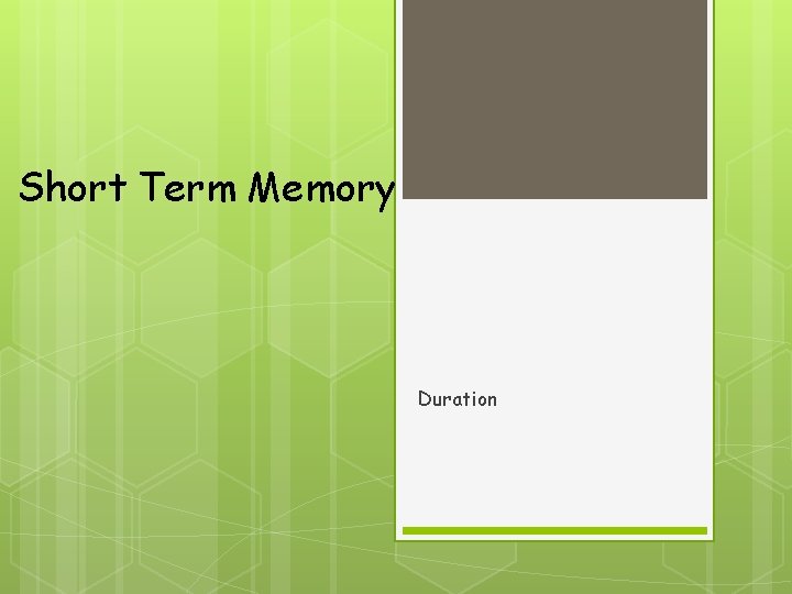 Short Term Memory Duration 