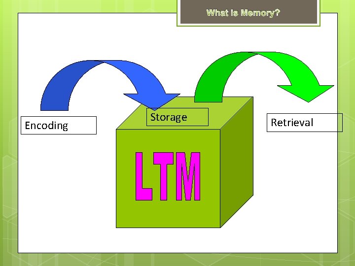 What is Memory? Encoding Storage Retrieval 