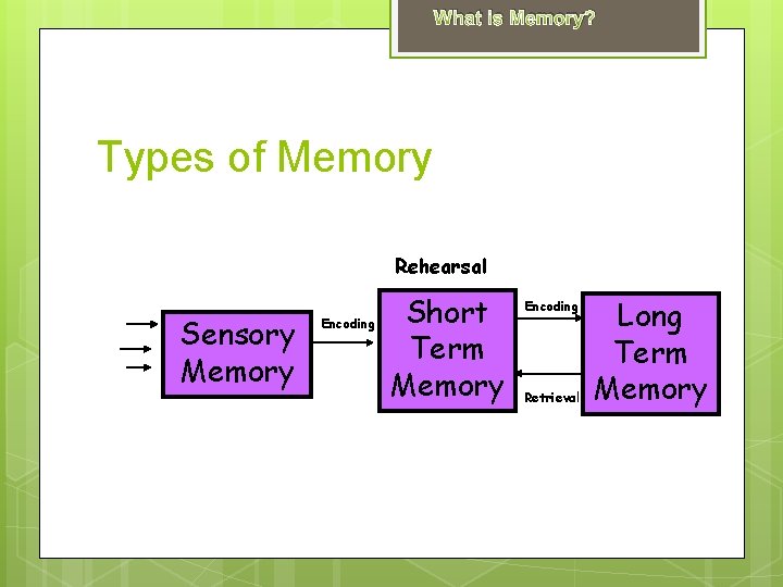 What is Memory? Types of Memory Rehearsal Sensory Memory Encoding Short Term Memory Encoding