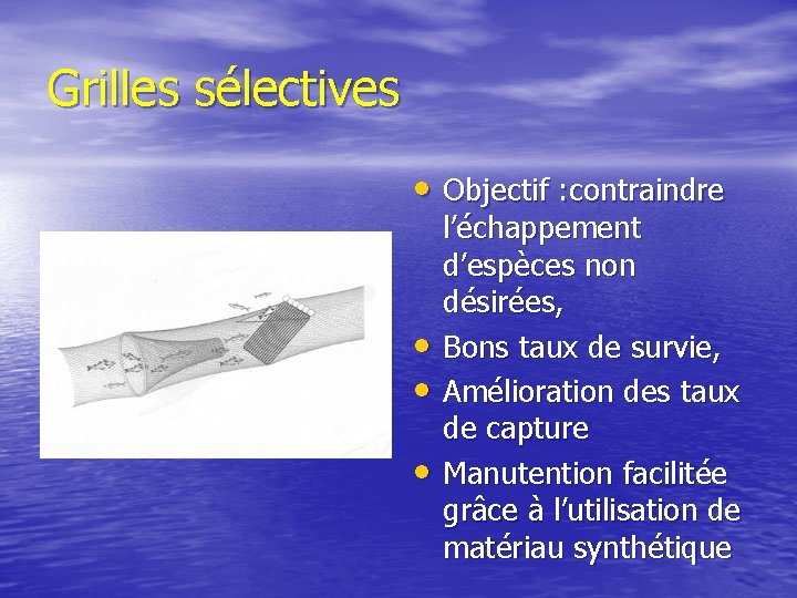 Grilles sélectives • Objectif : contraindre • • • l’échappement d’espèces non désirées, Bons