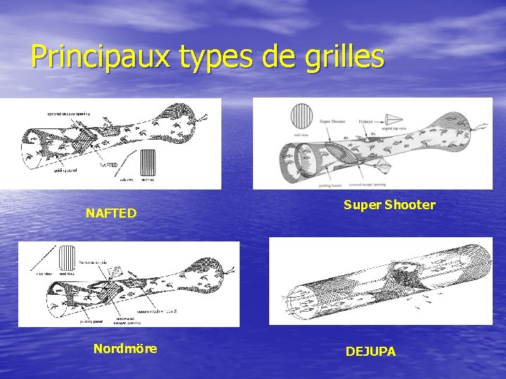 Principaux types de grilles NAFTED Nordmöre Super Shooter DEJUPA 