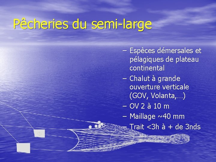 Pêcheries du semi-large – Espèces démersales et pélagiques de plateau continental – Chalut à