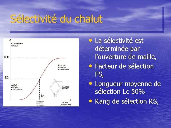 Sélectivité du chalut • La sélectivité est • • • déterminée par l’ouverture de