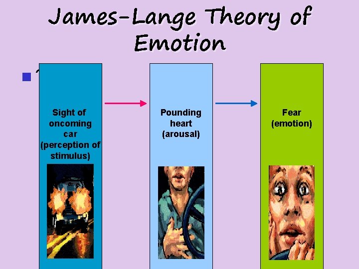 James-Lange Theory of Emotion n? Sight of oncoming car (perception of stimulus) Pounding heart