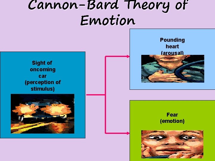 Cannon-Bard Theory of Emotion Pounding heart (arousal) Sight of oncoming car (perception of stimulus)