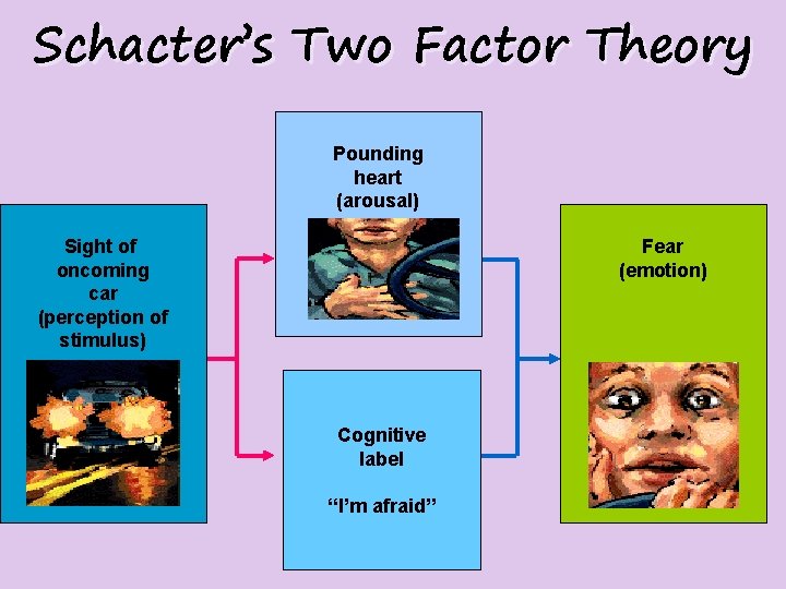 Schacter’s Two Factor Theory Pounding heart (arousal) Sight of oncoming car (perception of stimulus)
