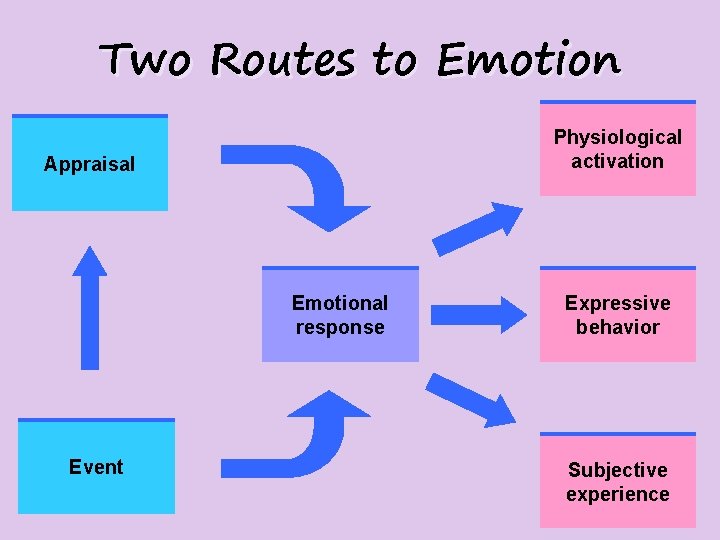 Two Routes to Emotion Physiological activation Appraisal Emotional response Event Expressive behavior Subjective experience