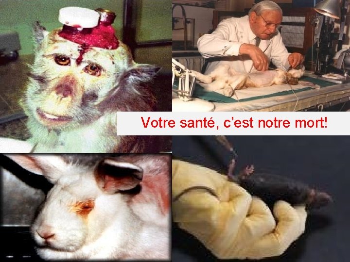 Votre santé, c’est notre mort! 