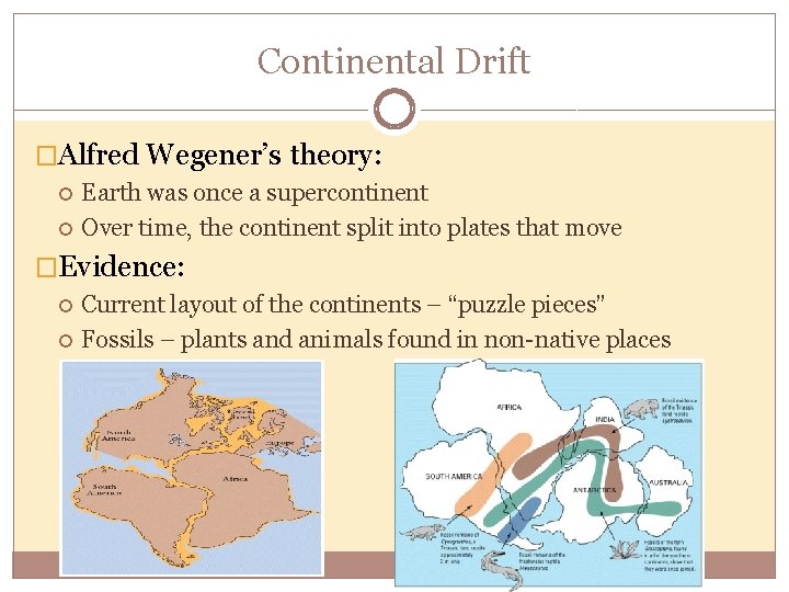 Continental Drift �Alfred Wegener’s theory: Earth was once a supercontinent Over time, the continent
