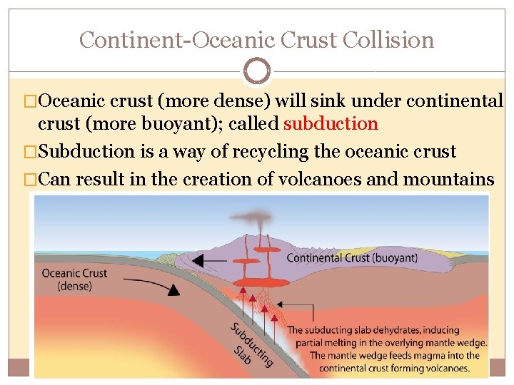 Continent-Oceanic Crust Collision �Oceanic crust (more dense) will sink under continental crust (more buoyant);