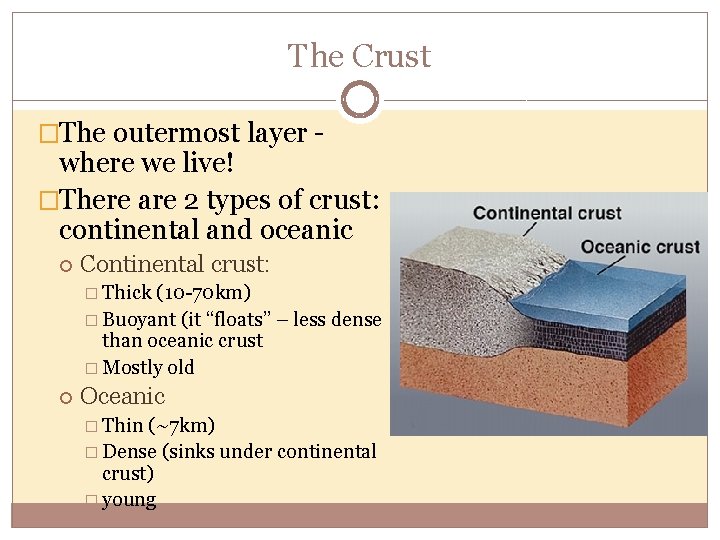 The Crust �The outermost layer - where we live! �There are 2 types of