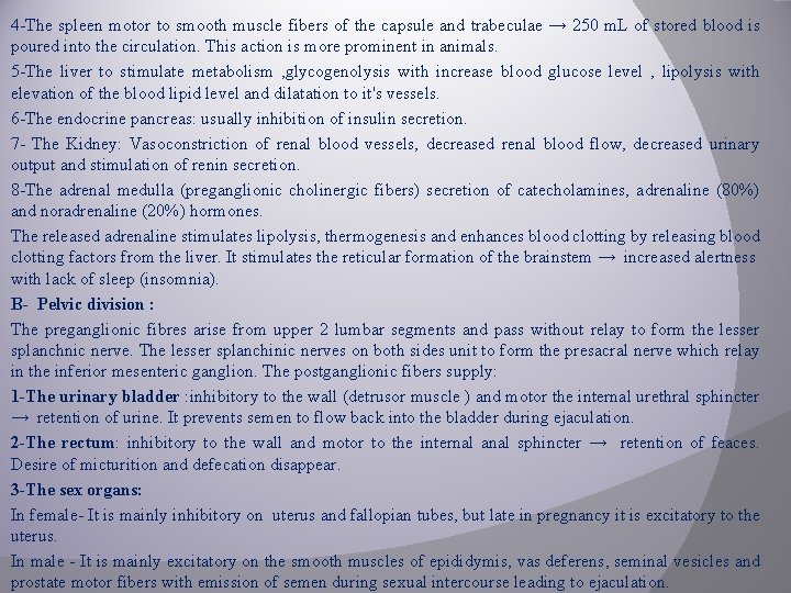 4 -The spleen motor to smooth muscle fibers of the capsule and trabeculae →