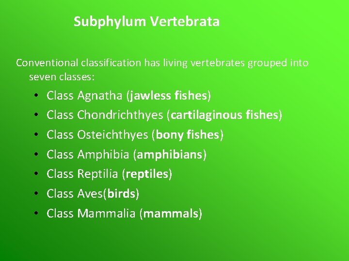 Subphylum Vertebrata Conventional classification has living vertebrates grouped into seven classes: • • Class