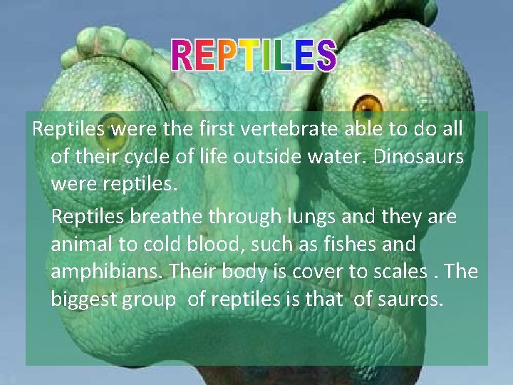 Reptiles were the first vertebrate able to do all of their cycle of life