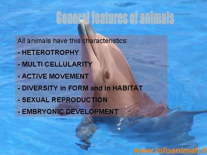 All animals have this characteristics: - HETEROTROPHY - MULTI CELLULARITY - ACTIVE MOVEMENT -