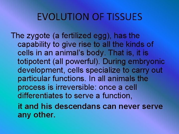 EVOLUTION OF TISSUES The zygote (a fertilized egg), has the capability to give rise