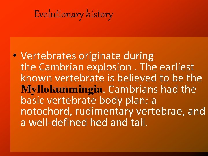 Evolutionary history • Vertebrates originate during the Cambrian explosion. The earliest known vertebrate is