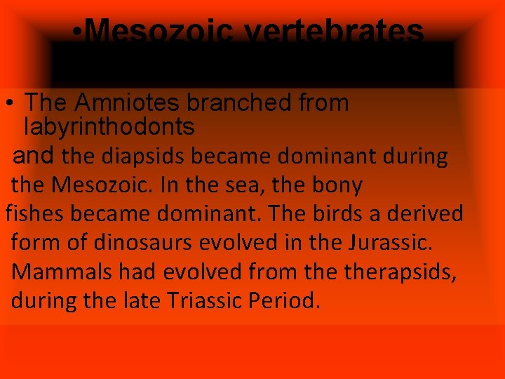  • Mesozoic vertebrates • The Amniotes branched from labyrinthodonts and the diapsids became