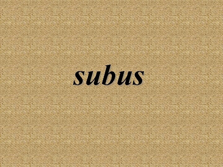 subus 