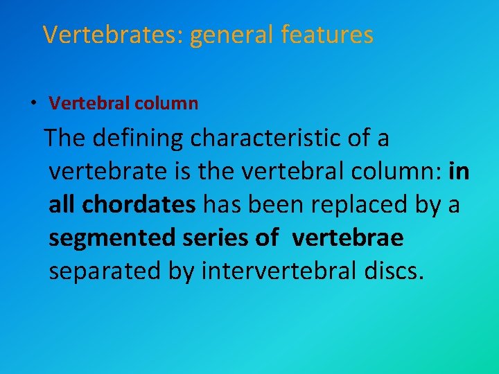 Vertebrates: general features • Vertebral column The defining characteristic of a vertebrate is the