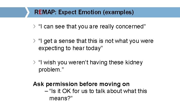 REMAP: Expect Emotion (examples) “I can see that you are really concerned” “I get