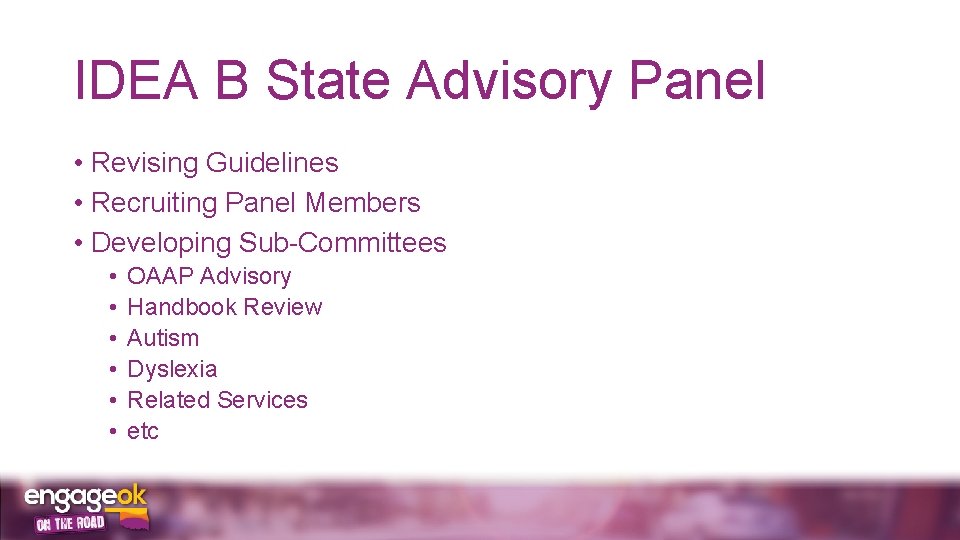 IDEA B State Advisory Panel • Revising Guidelines • Recruiting Panel Members • Developing