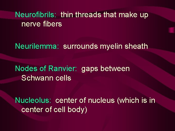 Neurofibrils: thin threads that make up nerve fibers Neurilemma: surrounds myelin sheath Nodes of