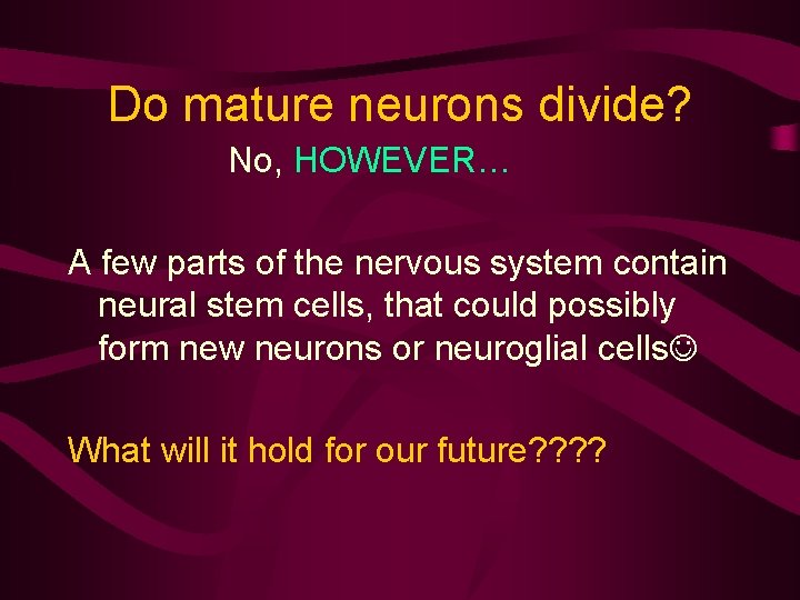 Do mature neurons divide? No, HOWEVER… A few parts of the nervous system contain