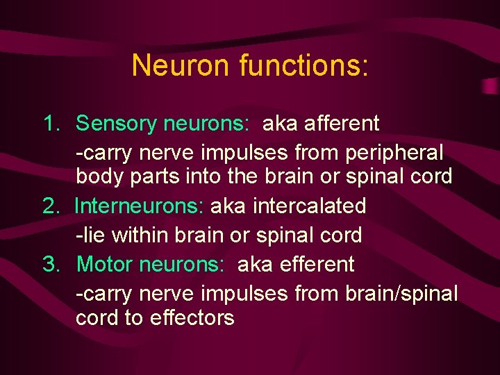 Neuron functions: 1. Sensory neurons: aka afferent -carry nerve impulses from peripheral body parts