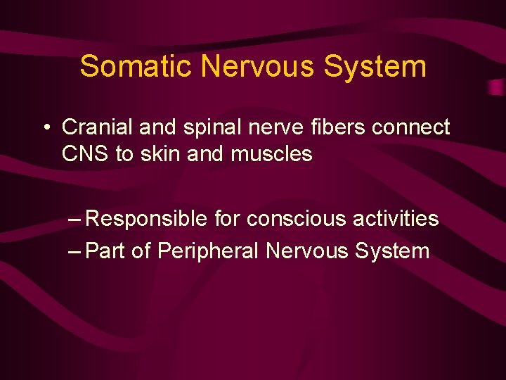 Somatic Nervous System • Cranial and spinal nerve fibers connect CNS to skin and