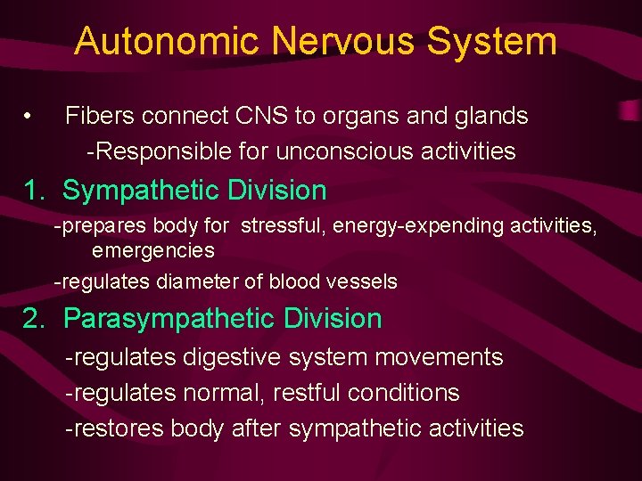 Autonomic Nervous System • Fibers connect CNS to organs and glands -Responsible for unconscious
