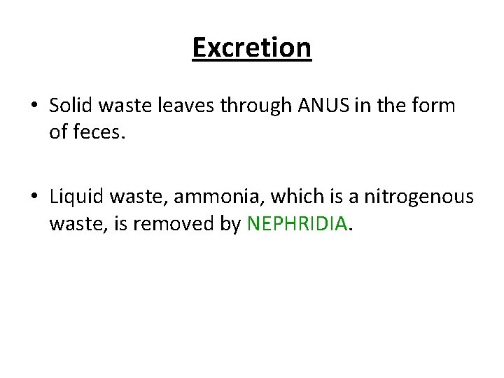 Excretion • Solid waste leaves through ANUS in the form of feces. • Liquid