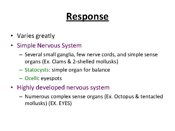 Response • Varies greatly • Simple Nervous System – Several small ganglia, few nerve