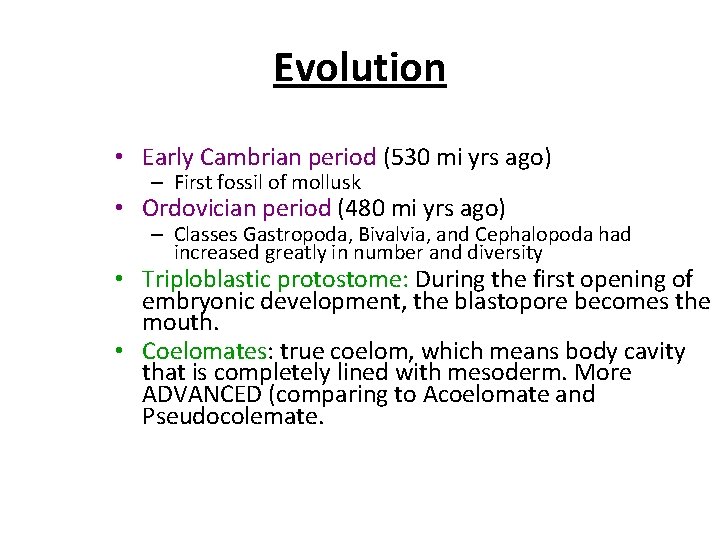Evolution • Early Cambrian period (530 mi yrs ago) – First fossil of mollusk
