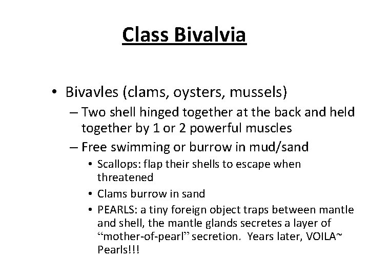Class Bivalvia • Bivavles (clams, oysters, mussels) – Two shell hinged together at the
