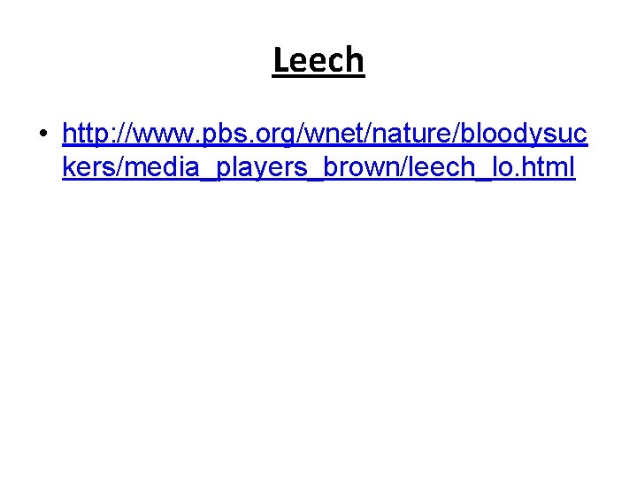 Leech • http: //www. pbs. org/wnet/nature/bloodysuc kers/media_players_brown/leech_lo. html 