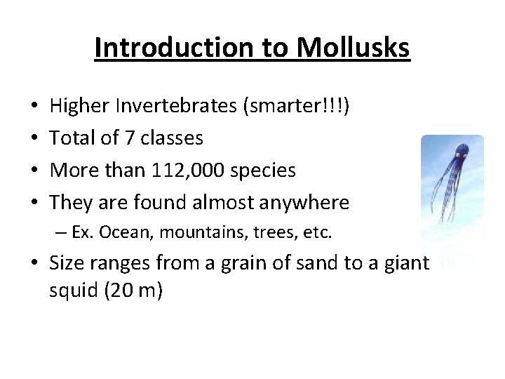 Introduction to Mollusks • • Higher Invertebrates (smarter!!!) Total of 7 classes More than