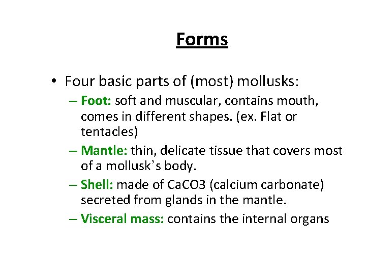 Forms • Four basic parts of (most) mollusks: – Foot: soft and muscular, contains