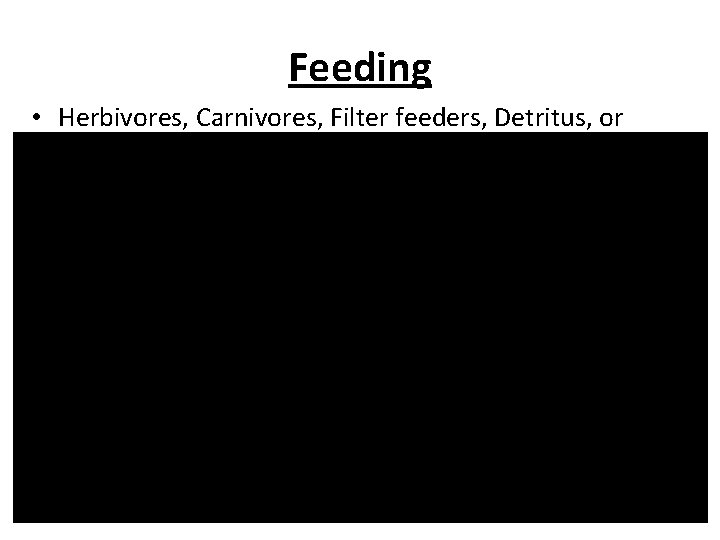 Feeding • Herbivores, Carnivores, Filter feeders, Detritus, or parasites • Complete digestive system (mouth