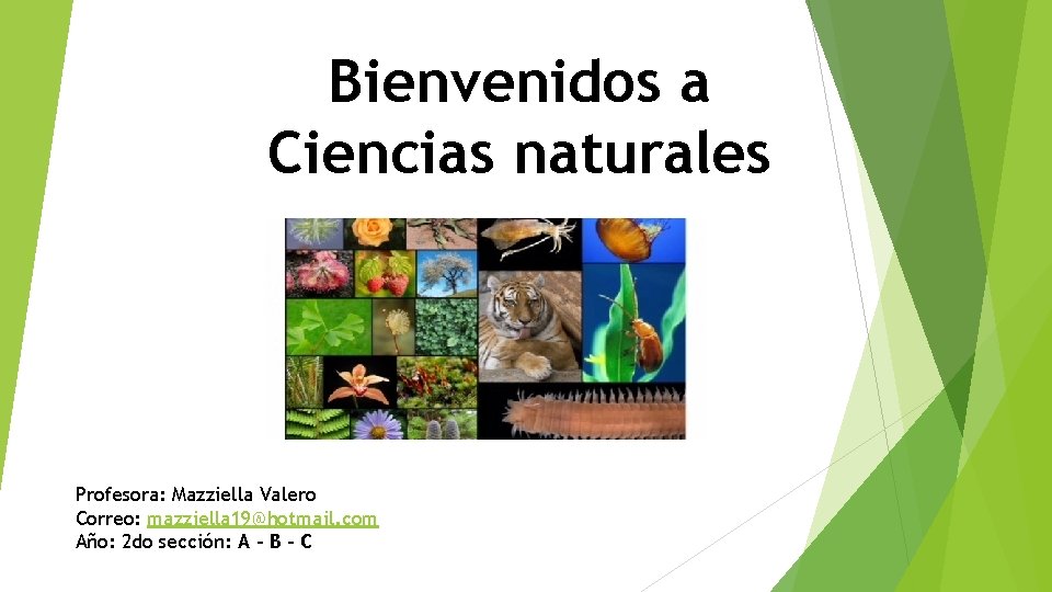 Bienvenidos a Ciencias naturales Profesora: Mazziella Valero Correo: mazziella 19@hotmail. com Año: 2 do