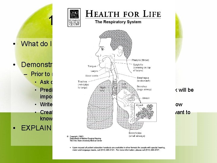1. Teacher Modeled • What do I do? • Demonstrate prereading strategy – Prior