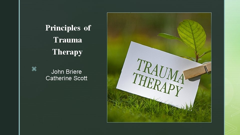 Principles of Trauma Therapy z z John Briere Catherine Scott 